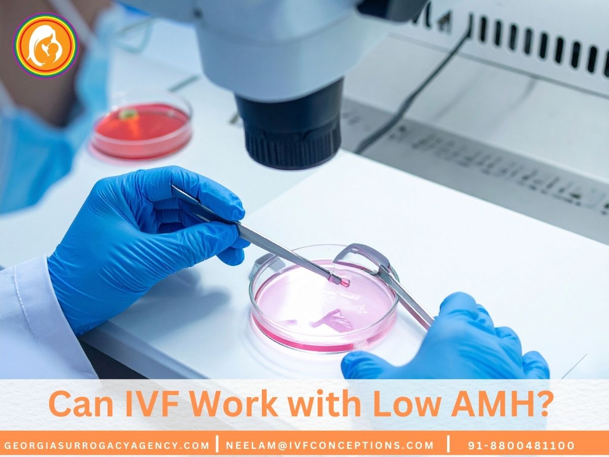 Can IVF Work with Low AMH? Success Rates and Treatment Options