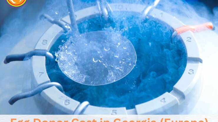 Egg Donor Cost in Georgia (Europe): Complete Price Guide