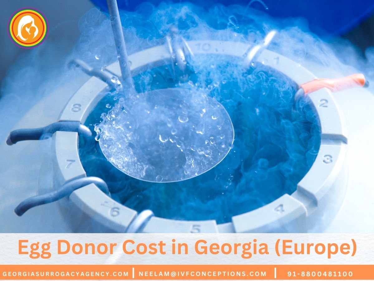 Egg Donor Cost in Georgia (Europe): Complete Price Guide
