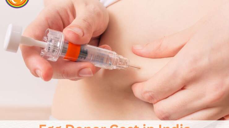 Egg Donor Cost in India: Everything You Need to Know