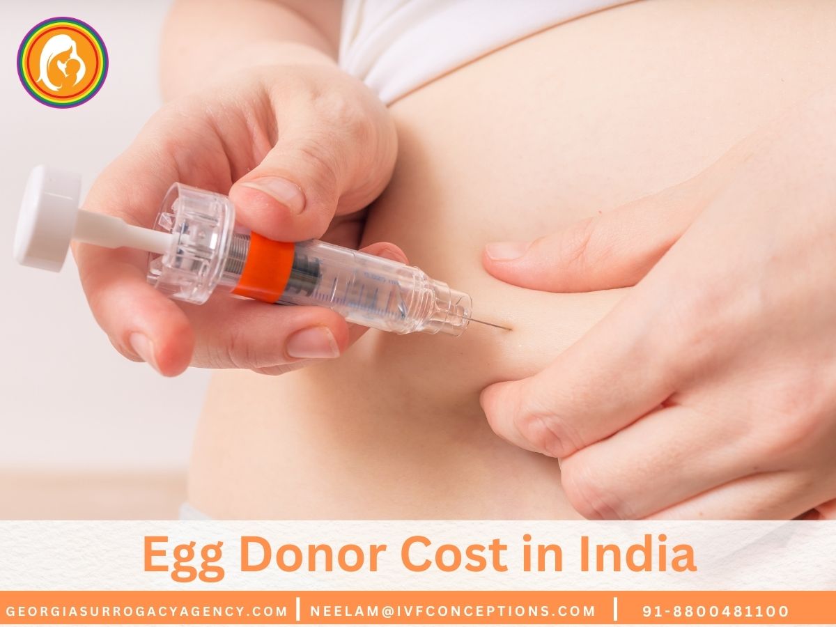 Egg Donor Cost in India: Everything You Need to Know