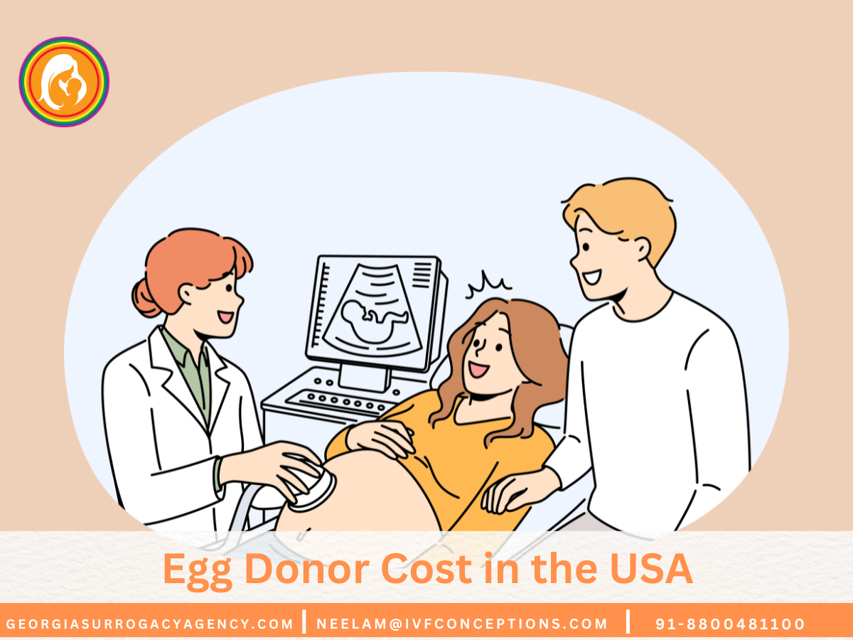 Egg Donor Cost in the USA: What You Need to Know