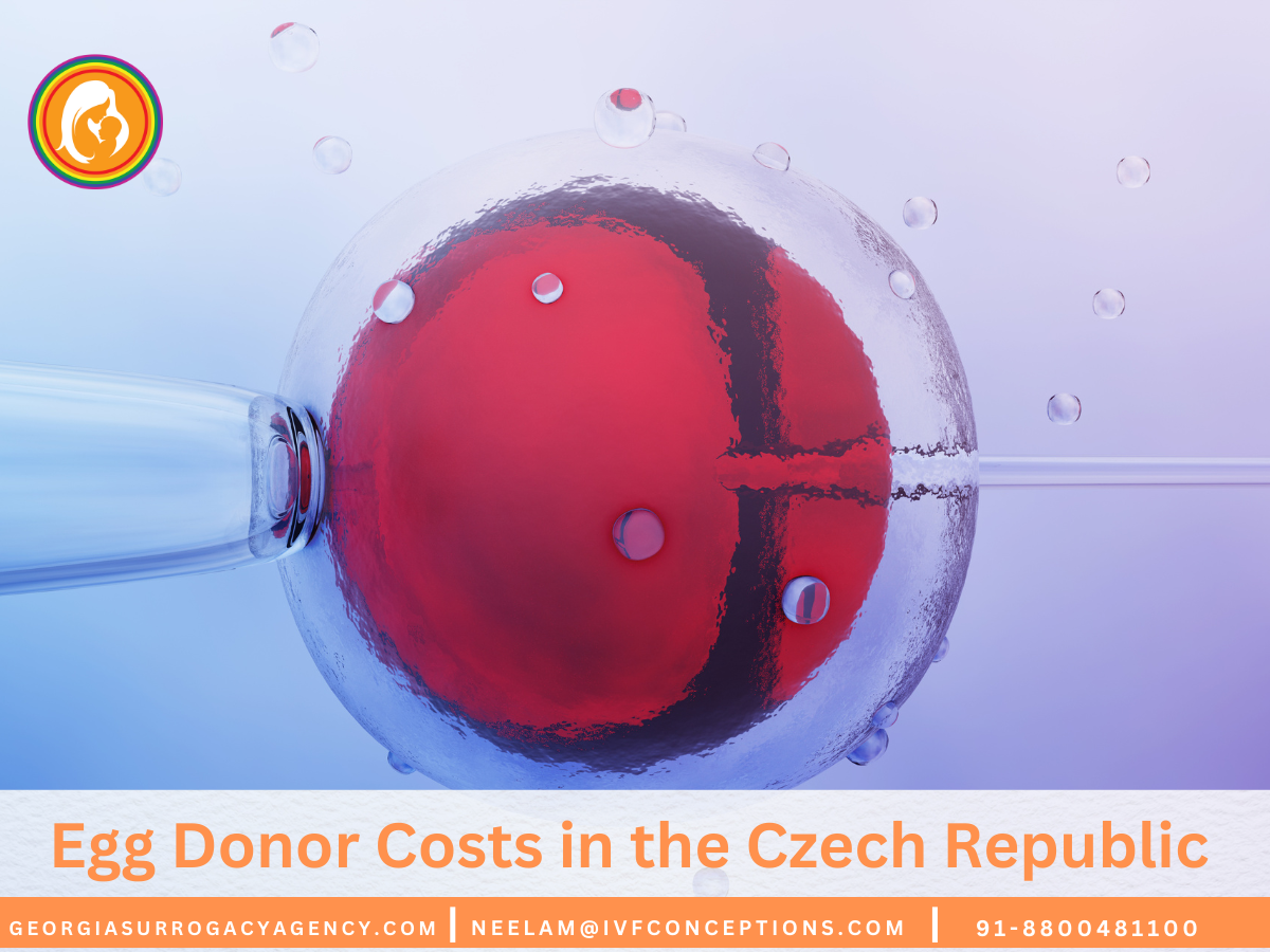 Egg Donor Costs in the Czech Republic: What You Need to Know