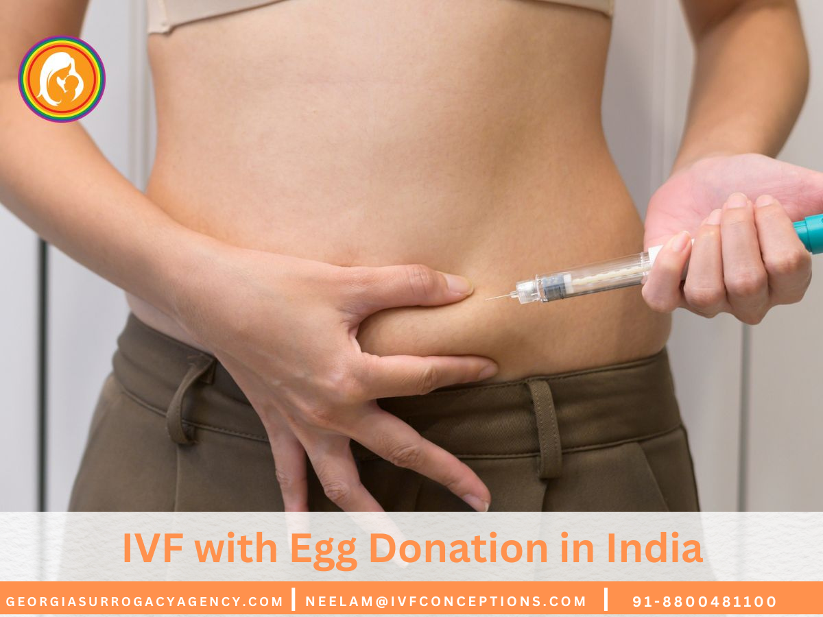 IVF with Egg Donation in India: Your Path to Parenthood