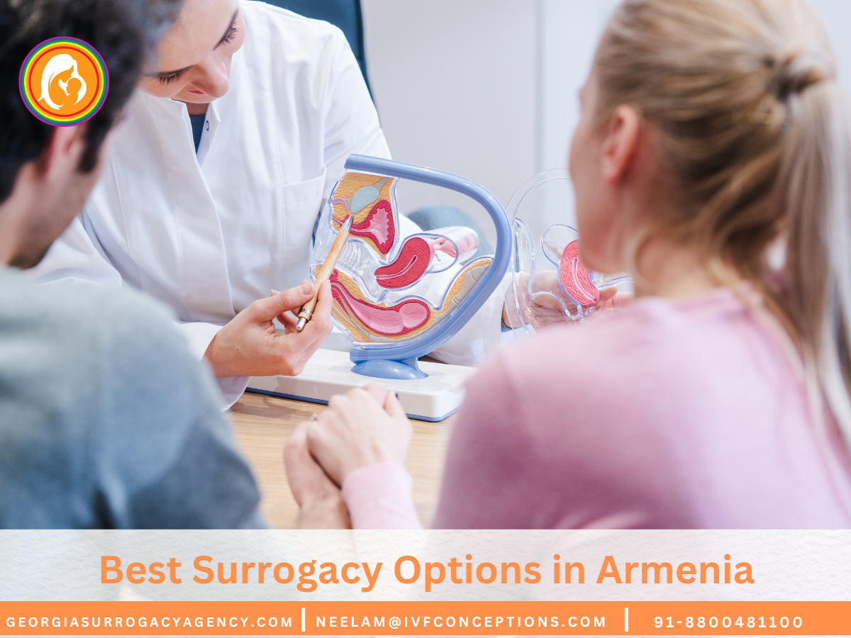 Best Surrogacy Options in Armenia