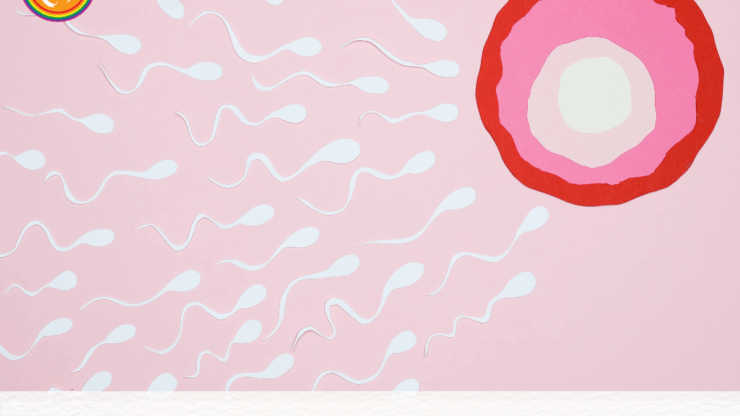 How Much Does a Sperm Donor Cost: What to Expect