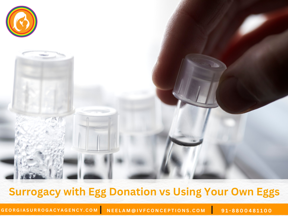 Surrogacy with Egg Donation vs Using Your Own Eggs: Which Is Right for You?