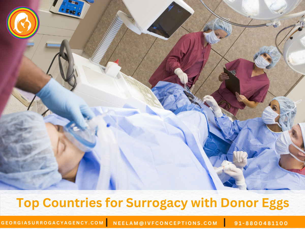 Top Countries for Surrogacy with Donor Eggs: Legal and Cost Overview