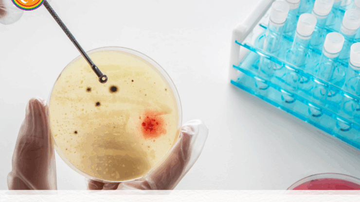 Age and Fertility: What to Expect at Every Stage of Life.