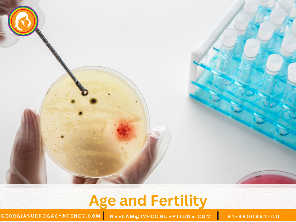 Age and Fertility: What to Expect at Every Stage of Life.