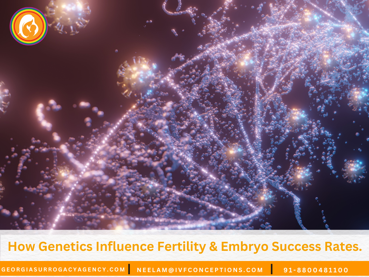 How Genetics Influence Fertility & Embryo Success Rates.