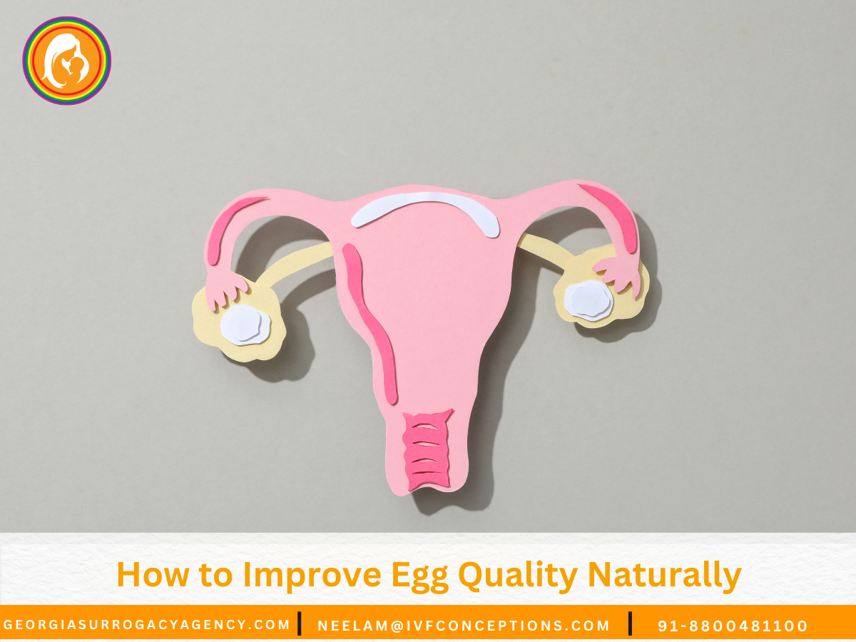 How to Improve Egg Quality Naturally: Diet, Lifestyle & Supplements.