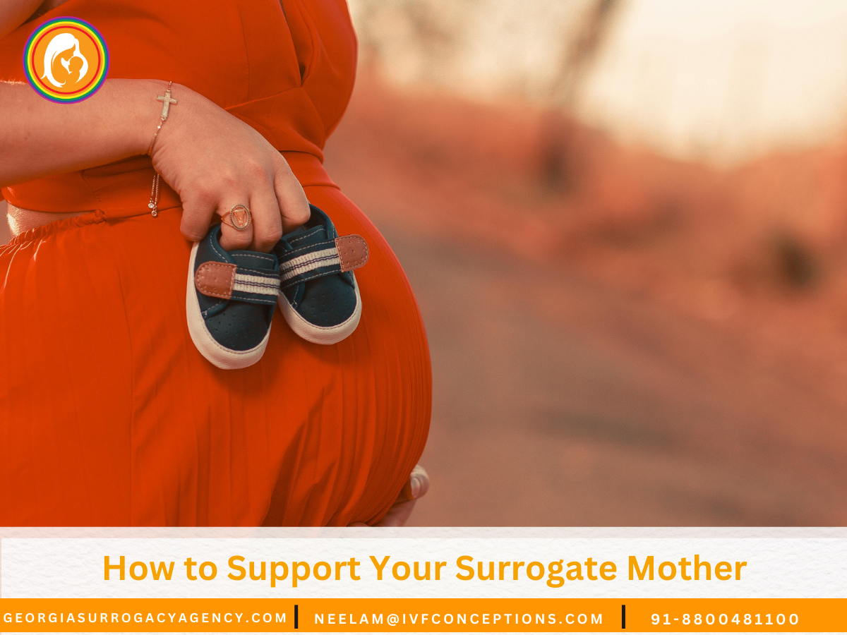 How to Support Your Surrogate Mother: Best Practices and Respect.