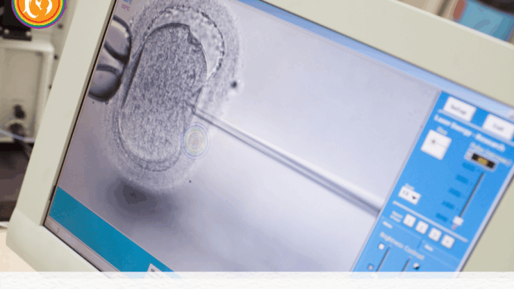 Surrogacy: Fresh vs Frozen Embryos Explained.