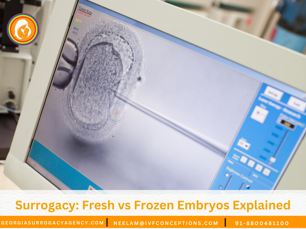 Surrogacy: Fresh vs Frozen Embryos Explained.