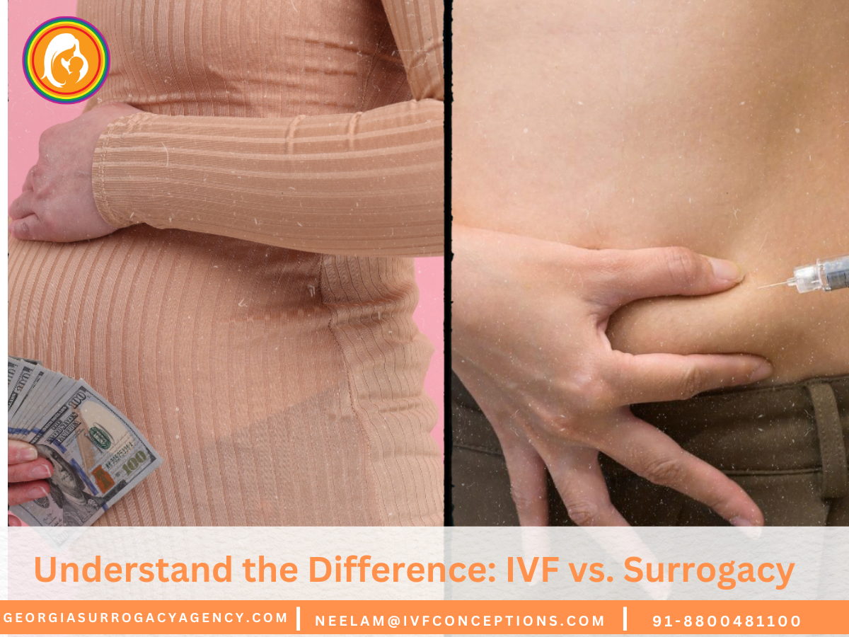 Understand the Difference: IVF vs. Surrogacy