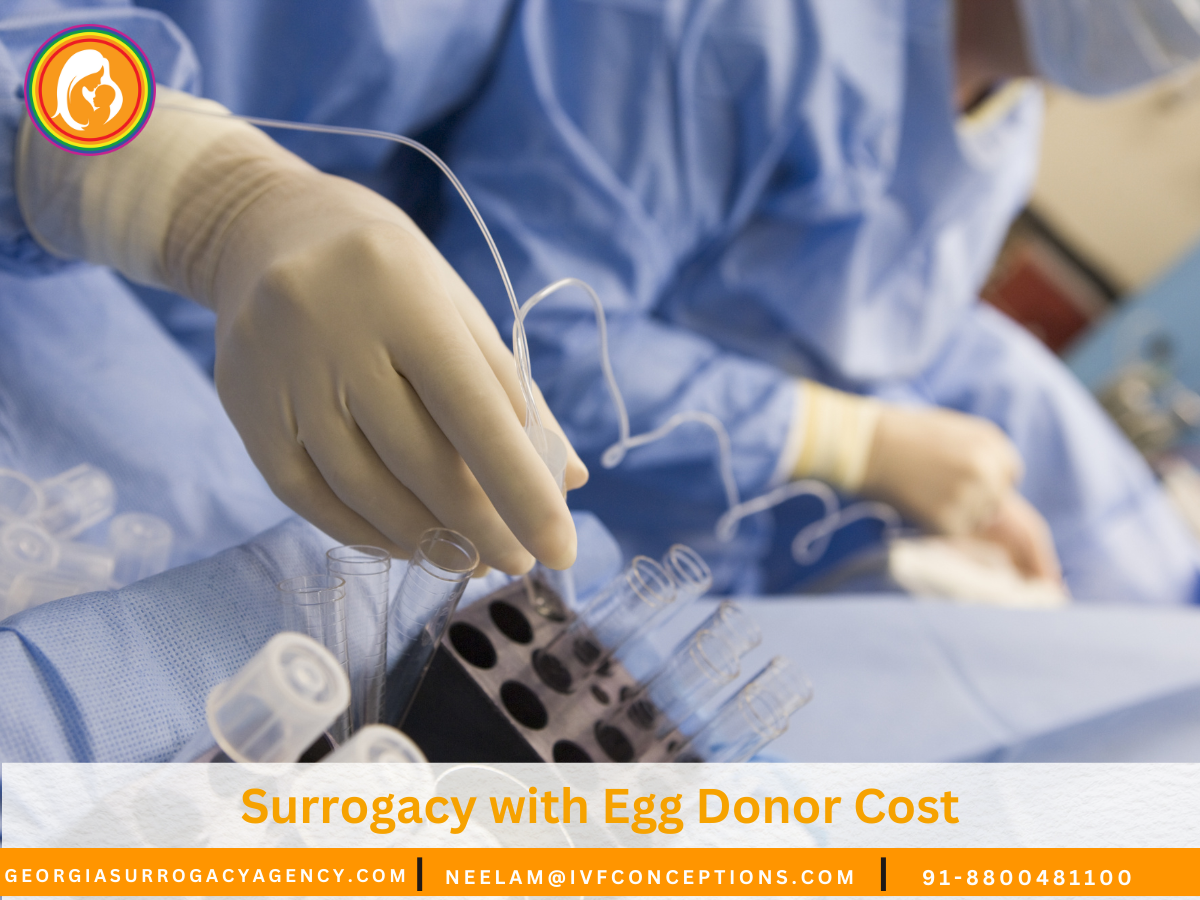 Surrogacy with Egg Donor Cost: Average Costs and What to Expect (2026)