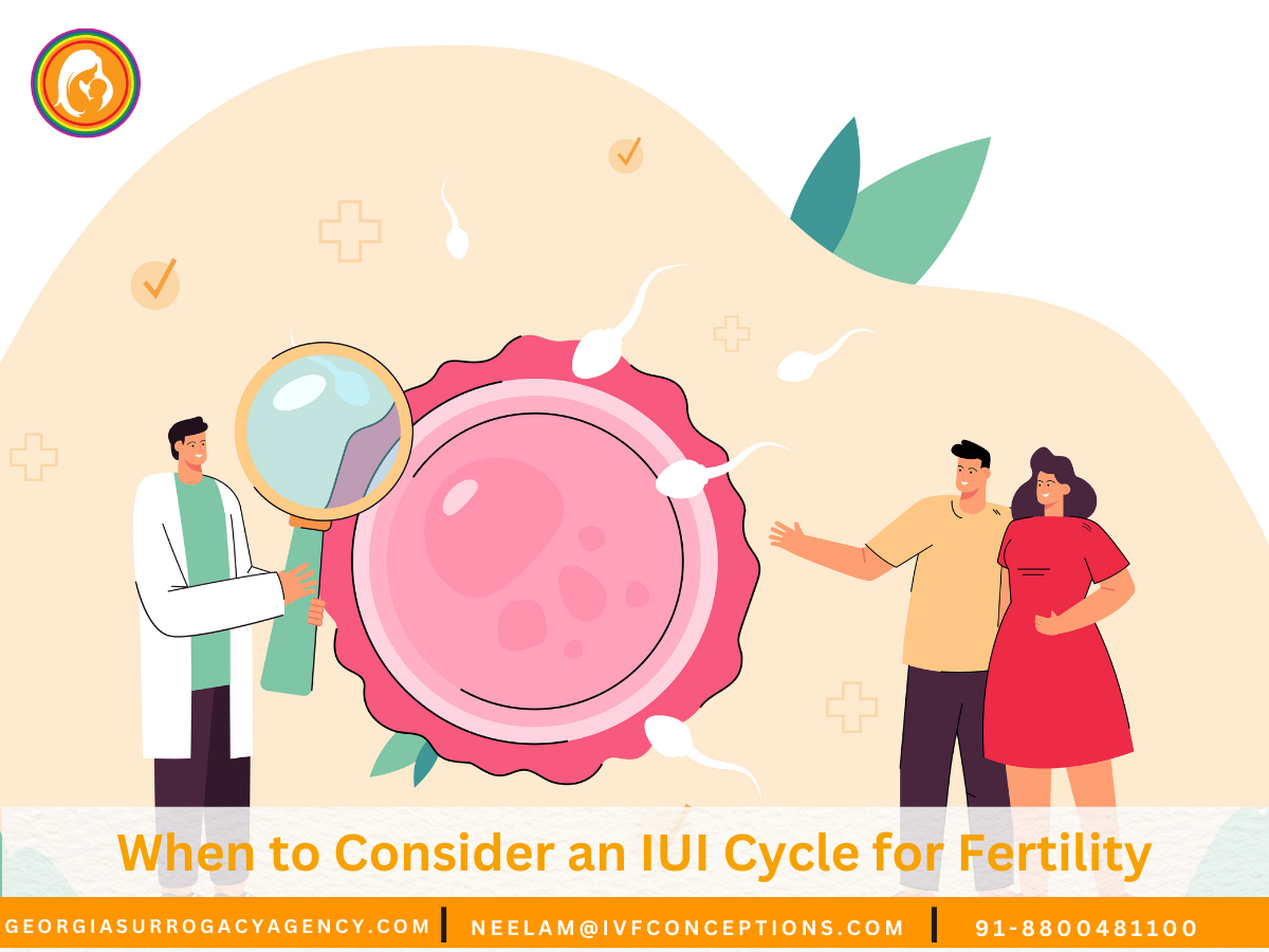When to Consider an IUI Cycle for Fertility